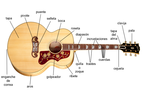 🥇 Guitarras Acústicas en Sinfonía Instrumentos Musicales