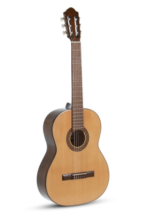 Guitarra Gewa tapa abeto aros y fondo arce macizo PS500171