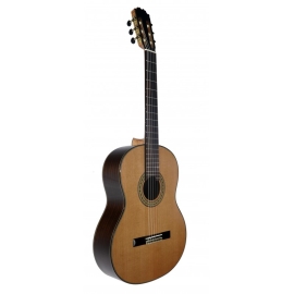 Guitarra Tatay tapa abeto macizo aros y fondo palosanto C320207S